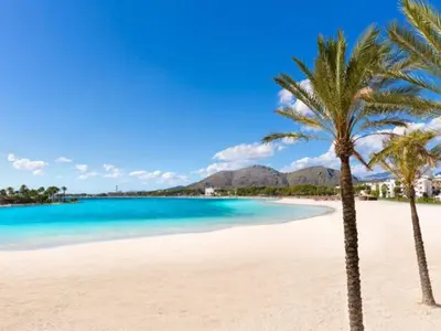 Imagen de galería 5