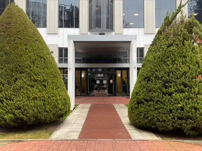 Imagen de galería 8