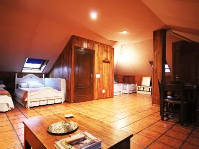 Imagen de galería 10