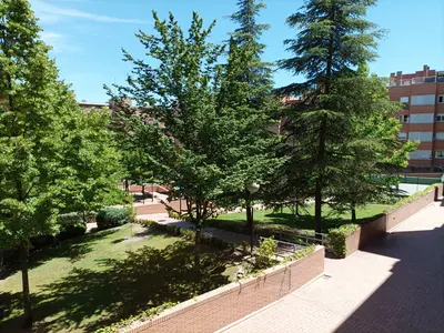 Imagen de galería 3