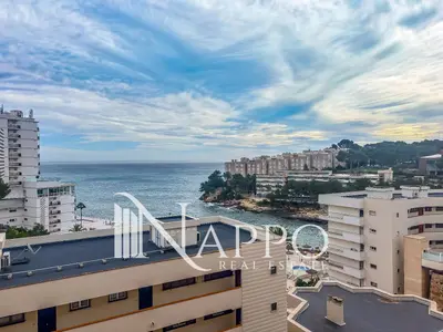 Imagen de galería 11