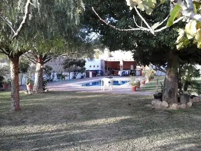 Imagen de galería 7