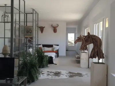 Imagen de galería 12