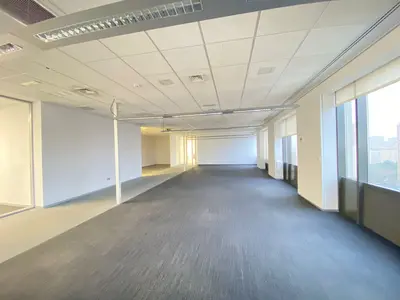 Imagen de galería 16