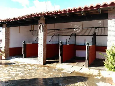 Imagen de galería 3