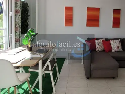 Imagen de galería 5