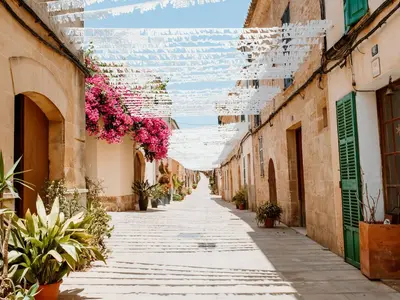 Imagen de galería 7