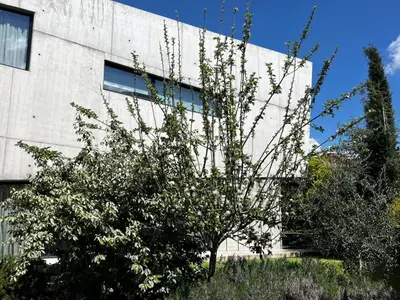 Imagen de galería 8