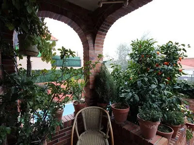 Imagen de galería 20