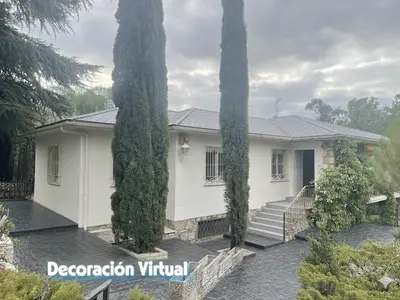 Imagen de galería 24