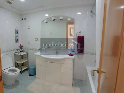 Imagen de galería 13