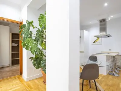 Imagen de galería 12