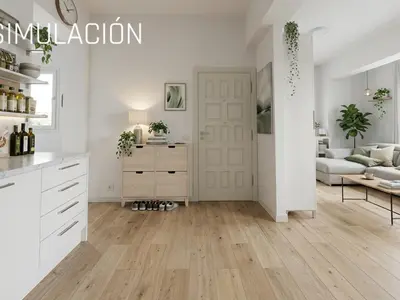 Imagen de galería 14