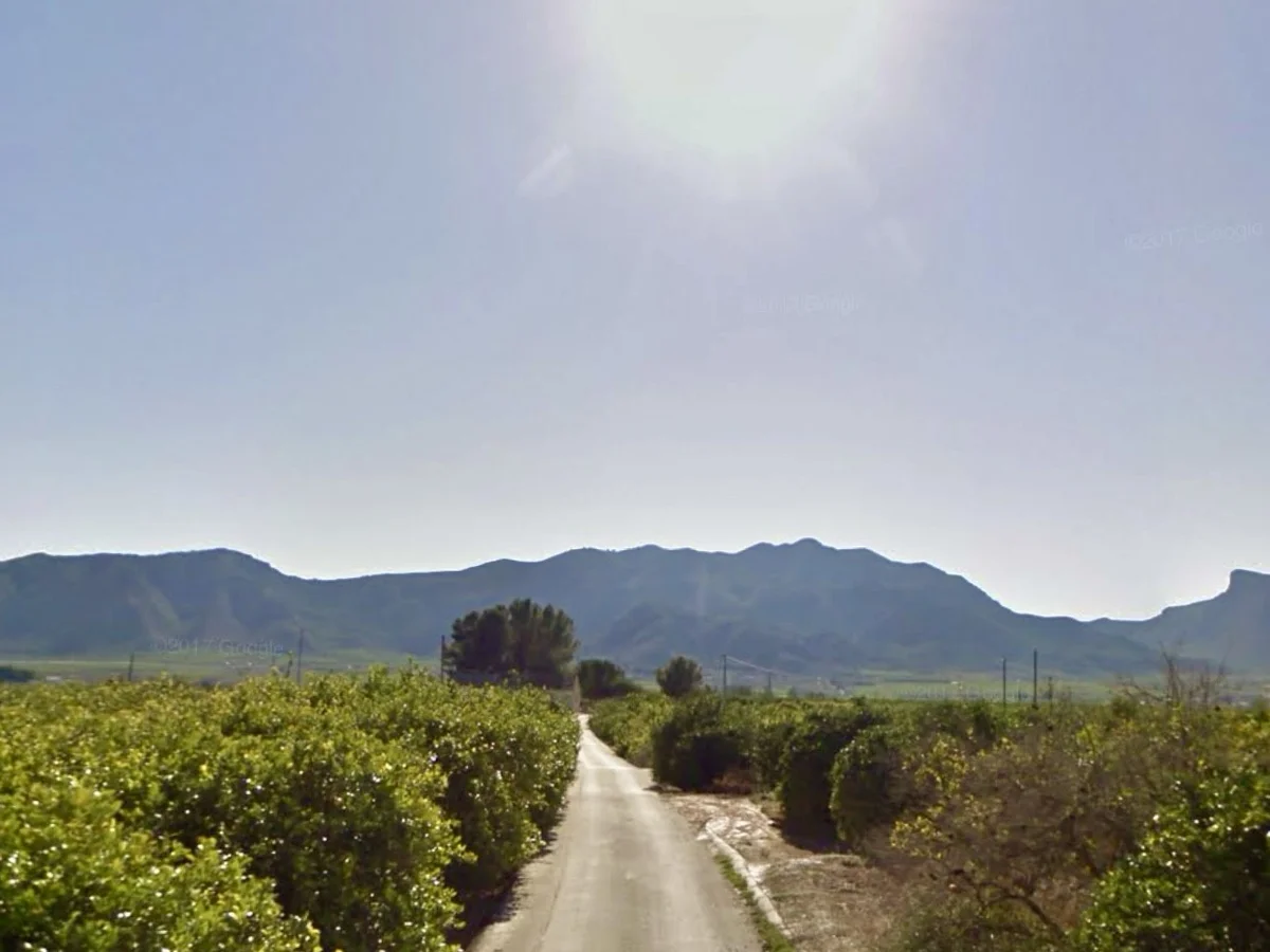 Finca rústica en venta en Lugar Matanza (Montepinar-La Aparecida-Raiguero, Orihuela)