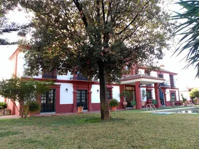 Imagen de galería 7