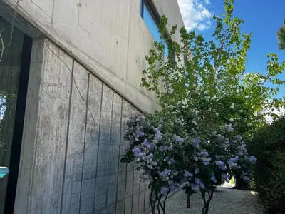 Imagen de galería 9