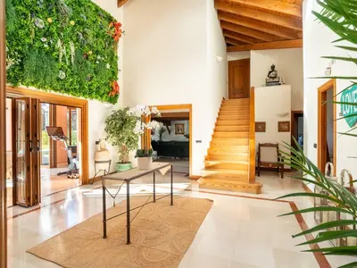 Imagen de galería 13